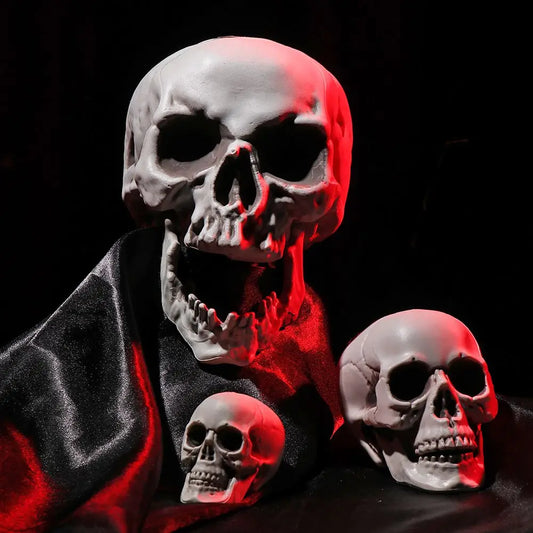 All-Size Plastic Human Skull Head – Halloween Skeleton Prop for Haunted House & Party Decor